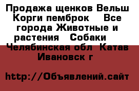 Продажа щенков Вельш Корги пемброк  - Все города Животные и растения » Собаки   . Челябинская обл.,Катав-Ивановск г.